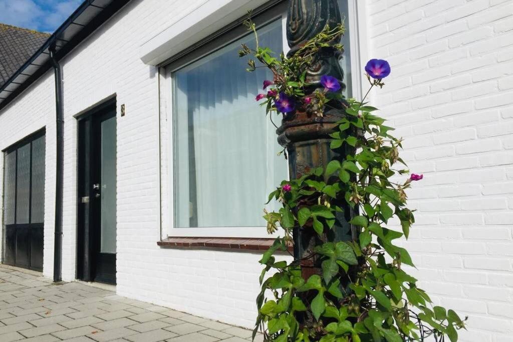 Vakantiehuis Vlakbij Het Strand En Natuur Villa Biervliet Eksteriør billede