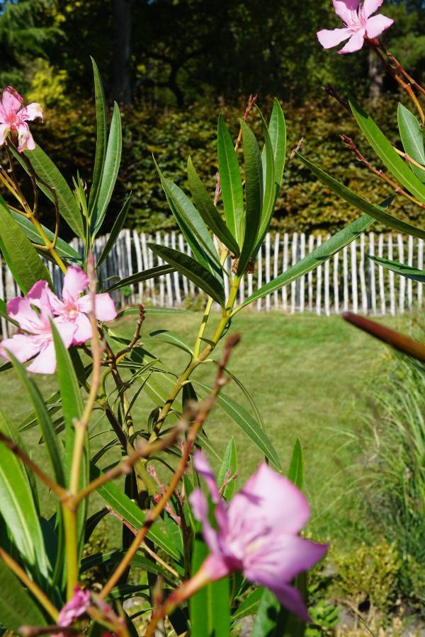 Vakantiehuis Vlakbij Het Strand En Natuur Villa Biervliet Eksteriør billede
