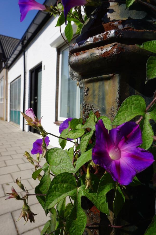 Vakantiehuis Vlakbij Het Strand En Natuur Villa Biervliet Eksteriør billede